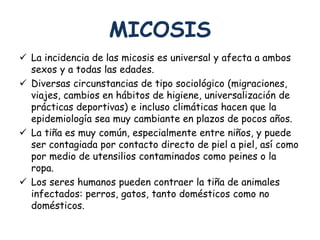 MICOSIS 
 La incidencia de las micosis es universal y afecta a ambos 
sexos y a todas las edades. 
 Diversas circunstancias de tipo sociológico (migraciones, 
viajes, cambios en hábitos de higiene, universalización de 
prácticas deportivas) e incluso climáticas hacen que la 
epidemiología sea muy cambiante en plazos de pocos años. 
 La tiña es muy común, especialmente entre niños, y puede 
ser contagiada por contacto directo de piel a piel, así como 
por medio de utensilios contaminados como peines o la 
ropa. 
 Los seres humanos pueden contraer la tiña de animales 
infectados: perros, gatos, tanto domésticos como no 
domésticos. 
 