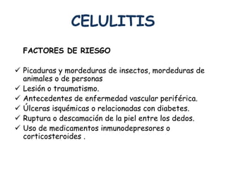 CELULITIS 
FACTORES DE RIESGO 
 Picaduras y mordeduras de insectos, mordeduras de 
animales o de personas 
 Lesión o traumatismo. 
 Antecedentes de enfermedad vascular periférica. 
 Úlceras isquémicas o relacionadas con diabetes. 
 Ruptura o descamación de la piel entre los dedos. 
 Uso de medicamentos inmunodepresores o 
corticosteroides . 
 