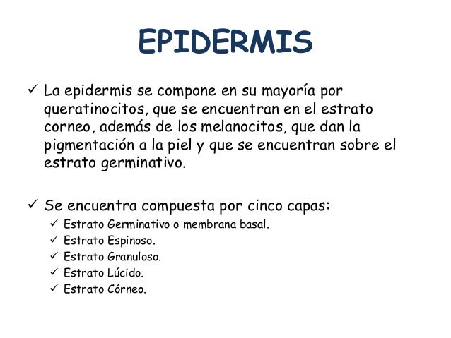 Han soñado las pecas en las manos