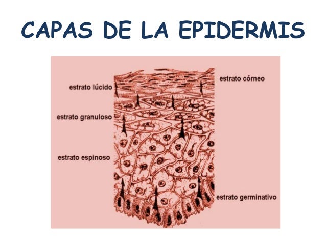 La desaparición de la mancha de pigmento de la persona