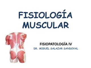 FISIOLOGÍA 
MUSCULAR 
FISIOPATOLOGÍA IV 
DR. MIGUEL SALAZAR SANDOVAL 
 