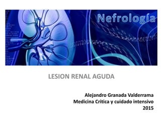 Alejandro Granada Valderrama
Medicina Critica y cuidado intensivo
2015
LESION RENAL AGUDA
 