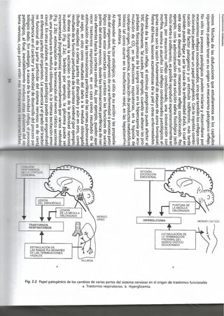 Fisiopatologia parte i