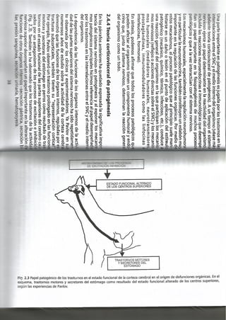Fisiopatologia parte i