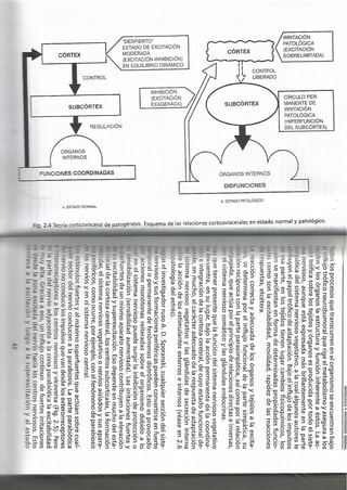Fisiopatologia parte i