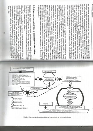 Fisiopatologia parte i