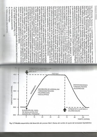 Fisiopatologia parte i