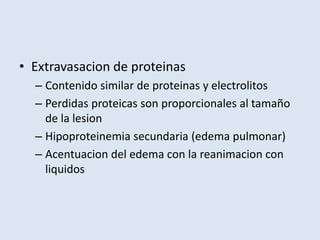 • Extravasacion de proteinas
  – Contenido similar de proteinas y electrolitos
  – Perdidas proteicas son proporcionales al tamaño
    de la lesion
  – Hipoproteinemia secundaria (edema pulmonar)
  – Acentuacion del edema con la reanimacion con
    liquidos
 