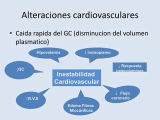 Alteraciones cardiovasculares
• Caida rapida del GC (disminucion del volumen
  plasmatico)
             Hipovolemia          ↓Inotropismo


                                                    ↓ Respuesta
  ↓GC                                              catecolaminas
                      Inestabilidad
                     Cardiovascular
                                                  ↓ Flujo
        ↑R.V.S                                   coronario
                           Edema Fibras
                            Miocárdicas
 