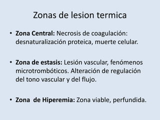 Zonas de lesion termica
• Zona Central: Necrosis de coagulación:
  desnaturalización proteica, muerte celular.

• Zona de estasis: Lesión vascular, fenómenos
  microtrombóticos. Alteración de regulación
  del tono vascular y del flujo.

• Zona de Hiperemia: Zona viable, perfundida.
 