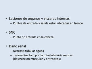 • Lesiones de organos y visceras internas
  – Puntos de entrada y salida estan ubicadas en tronco

• SNC
  – Punto de entrada en la cabeza

• Daño renal
  – Necrosis tubular aguda
  – lesion directa o por la mioglobinuria masiva
    (destruccion muscular y eritrocitos)
 