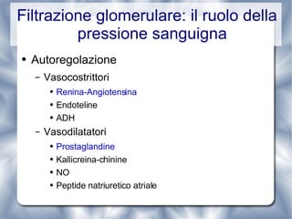 Filtrazione glomerulare: il ruolo della pressione sanguigna Autoregolazione Vasocostrittori Renina-Angiotensina Endoteline ADH Vasodilatatori Prostaglandine Kallicreina-chinine NO Peptide natriuretico atriale 