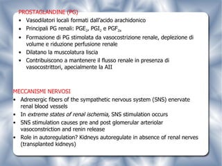 PROSTAGLANDINE (PG)   Vasodilatori locali formati dall’acido arachidonico Principali PG renali: PGE 2 , PGI 2  e PGF 2a Formazione di PG stimolata da vasocostrizione renale, deplezione di volume e riduzione perfusione renale Dilatano la muscolatura liscia Contribuiscono a mantenere il flusso renale in presenza di vasocostrittori, apecialmente la AII MECCANISMI NERVOSI Adrenergic fibers of the sympathetic nervous system (SNS) enervate renal blood vessels In  extreme states of renal ischemia,  SNS stimulation occurs SNS stimulation causes pre and post glomerular arteriolar vasoconstriction and renin release Role in autoregulation? Kidneys autoregulate in absence of renal nerves (transplanted kidneys) 