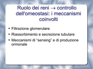 Ruolo dei reni    controllo dell'omeostasi: i meccanismi coinvolti Filtrazione glomerulare Riassorbimento e secrezione tubulare Meccanismi di “sensing” e di produzione ormonale 