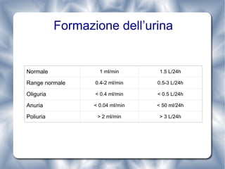 Formazione dell’urina Normale 1 ml/min 1.5 L/24h Range normale 0.4-2 ml/min 0.5-3 L/24h Oliguria < 0.4 ml/min < 0.5 L/24h Anuria < 0.04 ml/min < 50 ml/24h Poliuria > 2 ml/min > 3 L/24h 