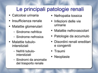 Le principali patologie renali Calcolosi urinaria Insufficienza renale Malattie glomerulari Sindrome nefritica Sindrome nefrosica Malattie tubulo-interstiziali Nefriti tubulo-interstiziali Sindromi da anomalie del trasporto renale  Nefropatia tossica Infezioni delle vie urinarie Malattie nefrovascolari Patologie da accumulo Disordini renali ereditari e congeniti Traumi Neoplasie 