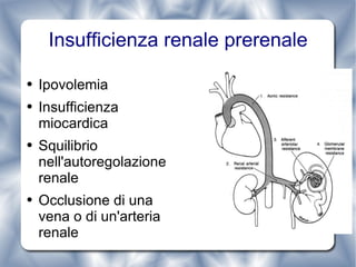 Insufficienza renale prerenale Ipovolemia Insufficienza miocardica Squilibrio nell'autoregolazione renale Occlusione di una vena o di un'arteria renale 