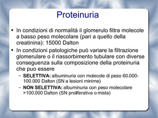 Proteinuria  In condizioni di normalità il glomerulo filtra molecole a basso peso molecolare (pari a quello della creatinina): 15000 Dalton In condizioni patologiche può variare la filtrazione  glomerulare o il riassorbimento tubulare con diverse conseguenza sulla composizione della proteinuria che puo essere SELETTIVA:  albuminuria con molecole di peso 60.000-100.000 Dalton (SN a lesioni minime) NON SELETTIVA:  albuminuria con peso molecolare  >100.000 Dalton (SN proliferativa o mista) 
