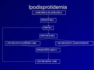 Ipodisprotidemia  IPEROSMOLARITA’ ↓  ALBUMINA PLASMATICA IPOONCHIA ↓  FILTRATO GLOMERULARE EDEMA IPOVOLEMIA ↑  SECREZIONE ALDOSTERONE ↑ SECREZIONE  ADH 