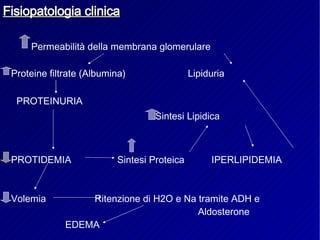 Fisiopatologia clinica Permeabilità della membrana glomerulare  Proteine filtrate (Albumina)  Lipiduria PROTEINURIA  Sintesi Lipidica  PROTIDEMIA  Sintesi Proteica  IPERLIPIDEMIA Volemia  Ritenzione di H2O e Na tramite ADH e Aldosterone  EDEMA  
