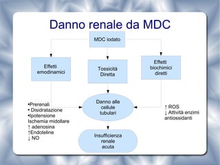 Danno renale da MDC Prerenali Disidratazione Ipotensione Ischemia midollare ↑ adenosina ↑Endoteline ↓ NO ↑ ROS ↓ Attività enzimi antiossidanti MDC iodato Effetti  emodinamici Tossicità Diretta Effetti  biochimici diretti Danno alle cellule tubulari Insufficienza renale acuta 