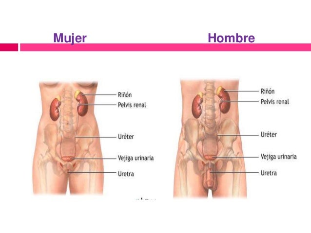 Que si duele la parte izquierda de la espalda