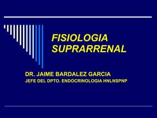 FISIOLOGIA SUPRARRENAL DR. JAIME BARDALEZ GARCIA JEFE DEL DPTO. ENDOCRINOLOGIA HNLNSPNP 