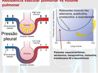 Resistência vascular pulmonar vs volume
pulmonar
                              Relaxantes músculo liso:
                              adenosina, acetilcolina,
                              prostaciclina e isoproterenol




Pressão
 pleural

                          Potentes vasoconstritores:
                          serotonina, norepinefrina, histamina,
                          tromboxana A2 e leucotrienos
 