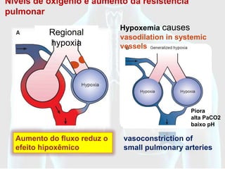 Níveis de oxigênio e aumento da resistência
pulmonar
                             Hypoxemia causes
          Regional
                             vasodilation in systemic
          hypoxia            vessels




                                                Piora
                                                alta PaCO2
                                                baixo pH

  Aumento do fluxo reduz o   vasoconstriction of
  efeito hipoxêmico          small pulmonary arteries
 
