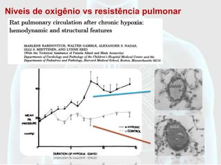 Níveis de oxigênio vs resistência pulmonar
 