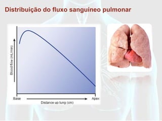 Distribuição do fluxo sanguíneo pulmonar




                RELAÇÃO DE
           VENTILAÇÃO-PERFUSÃO
 