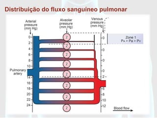 Distribuição do fluxo sanguíneo pulmonar




                RELAÇÃO DE
           VENTILAÇÃO-PERFUSÃO
 