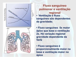 Fluxo sanguíneo
            pulmonar e ventilação
                  regional
         • Ventilação e fluxo
         sanguíneo são dependentes
         da gravidade;
    RELAÇÃO DE
VENTILAÇÃO-PERFUSÃO
          • Fluxo sanguíneo 5x maior
          ápice que base e ventilação
          2x. Há variação regional
          gravidade dependente da
          Va/Q

          • Fluxo sanguíneo é
          proporcionalmente maior na
          base e ventilação maior no
          ápice
 