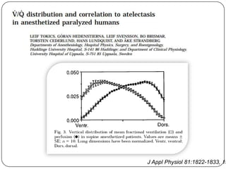 J Appl Physiol 81:1822-1833, 19
 