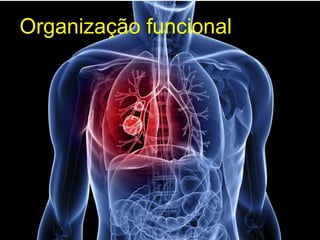 Organização funcional
 