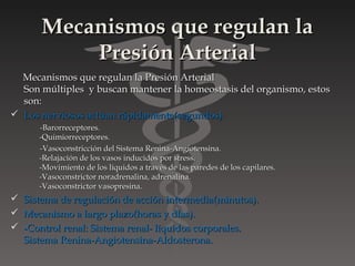 Mecanismos que regulan la
           Presión Arterial
  Mecanismos que regulan la Presión Arterial
  Son múltiples y buscan mantener la homeostasis del organismo, estos
  son:
 Los nerviosos actúan rápidamente(segundos).
       -Barorreceptores.
       -Quimiorreceptores.
       -Vasoconstricción del Sistema Renina-Angiotensina.
       -Relajación de los vasos inducidos por stress.
       -Movimiento de los líquidos a través de las paredes de los capilares.
       -Vasoconstrictor noradrenalina, adrenalina.
       -Vasoconstrictor vasopresina.
   Sistema de regulación de acción intermedia(minutos).
   Mecanismo a largo plazo(horas y días).
   -Control renal: Sistema renal- líquidos corporales.
    Sistema Renina-Angiotensina-Aldosterona.
 