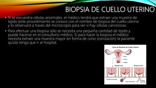 BIOPSIA DE CUELLO UTERINO
• Si se encuentra células anormales, el médico tendrá que extraer una muestra de
tejido (este procedimiento se conoce con el nombre de biopsia del cuello uterino
y lo observará a través del microscopio para ver si hay células cancerosas.
• Para efectuar una biopsia sólo se necesita una pequeña cantidad de tejido y
puede hacerse en el consultorio médico. Si para hacer la biopsia el médico
necesita extraer una muestra mayor en forma de cono (conización) la paciente
quizás tenga que ir al hospital.
 