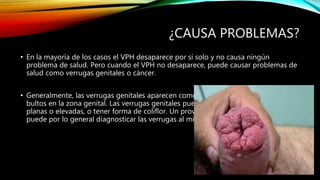 ¿CAUSA PROBLEMAS?
• En la mayoría de los casos el VPH desaparece por sí solo y no causa ningún
problema de salud. Pero cuando el VPH no desaparece, puede causar problemas de
salud como verrugas genitales o cáncer.
• Generalmente, las verrugas genitales aparecen como pequeños bultos o grupos de
bultos en la zona genital. Las verrugas genitales pueden ser pequeñas o grandes,
planas o elevadas, o tener forma de coliflor. Un proveedor de atención médica
puede por lo general diagnosticar las verrugas al mirar la zona genital.
 