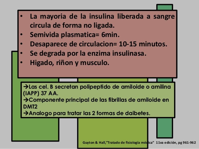 Fisiopato y tx diabetes mellitus Fisiopato y tx diabetes mellitus