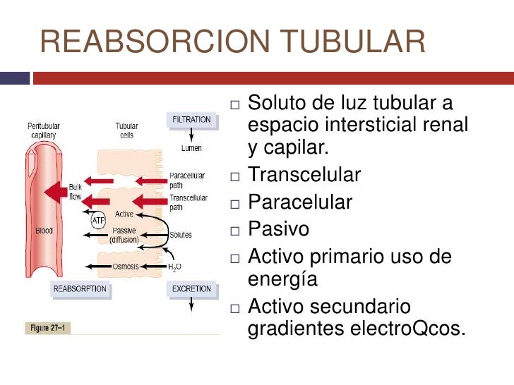 luz tubular luz tubular
