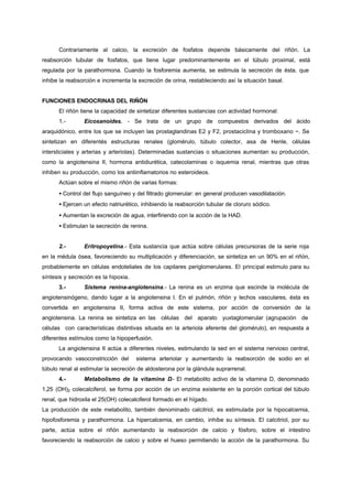 Contrariamente al calcio, la excreción de fosfatos depende básicamente del riñón. La
reabsorción tubular de fosfatos, que tiene lugar predominantemente en el túbulo proximal, está
regulada por la parathormona. Cuando la fosforemia aumenta, se estimula la secreción de ésta, que
inhibe la reabsorción e incrementa la excreción de orina, restableciendo así la situación basal.


FUNCIONES ENDOCRINAS DEL RIÑÓN
      El riñón tiene la capacidad de sintetizar diferentes sustancias con actividad hormonal:
      1.-       Eicosanoides. - Se trata de un grupo de compuestos derivados del ácido
araquidónico, entre los que se incluyen las prostaglandinas E2 y F2, prostaciclina y tromboxano ~. Se
sintetizan en diferentés estructuras renales (glomérulo, túbulo colector, asa de Henle, células
intersticiales y arterias y arteriolas). Determinadas sustancias o situaciones aumentan su producción,
como la angiotensina II, hormona antidiurética, catecolaminas o isquemia renal, mientras que otras
inhiben su producción, como los antiinflamatorios no esteroideos.
      Actúan sobre el mismo riñón de varias formas:
      • Control del flujo sanguíneo y del filtrado glomerular: en general producen vasodilatación.
      • Ejercen un efecto natriurético, inhibiendo la reabsorción tubular de cloruro sódico.
      • Aumentan la excreción de agua, interfiriendo con la acción de la HAD.
      • Estimulan la secreción de renina.


      2.-       Eritropoyetina.- Esta sustancia que actúa sobre células precursoras de la serie roja
en la médula ósea, favoreciendo su multiplicación y diferenciación, se sintetiza en un 90% en el riñón,
probablemente en células endoteliales de los capilares periglomerulares. El principal estimulo para su
síntesis y secreción es la hipoxia.
      3.-       Sistema renina-angiotensina.- La renina es un enzima que escinde la molécula de
angiotensinógeno, dando lugar a la angiotensina I. En el pulmón, riñón y lechos vasculares, ésta es
convertida en angiotensina II, forma activa de este sistema, por acción de conversión de la
angiotensina. La renina se sintetiza en las células del aparato yuxtaglomerular (agrupación de
células con características distintivas situada en la arteriola aferente del glomérulo), en respuesta a
diferentes estímulos como la hipoperfusión.
      La angiotensina II actúa a diferentes niveles, estimulando la sed en el sistema nervioso central,
provocando vasoconstricción del       sistema arteriolar y aumentando la reabsorción de sodio en el
túbulo renal al estimular la secreción de aldosterona por la glándula suprarrenal.
      4.-       Metabolismo de la vitamina D El metabolito activo de la vitamina D, denominado
                                            .-
1,25 (OH)2 colecalciferol, se forma por acción de un enzima existente en la porción cortical del túbulo
renal, que hidroxila el 25(OH) colecalciferol formado en el hígado.
La producción de este metabolito, también denominado calcitriol, es estimulada por la hipocalcemia,
hipofosforemia y parathormona. La hipercalcemia, en cambio, inhibe su síntesis. El calcitriol, por su
parte, actúa sobre el riñón aumentando la reabsorción de calcio y fósforo, sobre el intestino
favoreciendo la reabsorción de calcio y sobre el hueso permitiendo la acción de la parathormona. Su
 