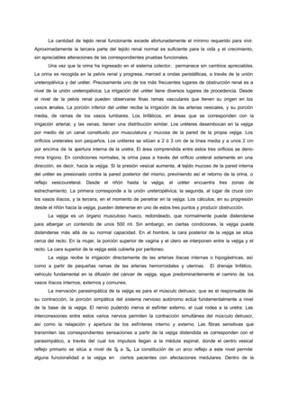 La cantidad de tejido renal funcionante excede afortunadamente el mínimo requerido para vivir.
Aproximadamente la tercera parte del tejido renal normal es suficiente para la vida y el crecimiento,
sin apreciables alteraciones de las correspondientes pruebas funcionales.
      Una vez que la orina ha ingresado en el sistema colector, permanece sin cambios apreciables.
La orina es recogida en la pelvis renal y progresa, merced a ondas peristálticas, a través de la unión
ureteropélvica y del uréter. Precisamente uno de los más frecuentes lugares de obstrucción renal es a
nivel de la unión ureteropélvica. La irrigación del uréter tiene diversos lugares de procedencia. Desde
el nivel de la pelvis renal pueden observarse finas ramas vasculares que tienen su origen en los
vasos r
      enales. La porción inferior del uréter recibe la irrigación de las arterias vesicales, y su porción
media, de ramas de los vasos lumbares. Los linfáticos, en áreas que se corresponden con la
irrigación arterial, y las venas, tienen una distribución similar. Los uréteres desembocan en la vejiga
por medio de un canal constituido por musculatura y mucosa de la pared de la propia vejiga. Los
orificios ureterales son pequeños. Los uréteres se sitúan a 2 ó 3 cm de la línea media y a unos 2 cm
por encima de la apertura interna de la uretra. El área comprendida entre estos tres orificios se deno-
mina trígono. En condiciones normales, la orina pasa a través del orificio ureteral solamente en una
dirección, es decir, hacia la vejiga. Si la presión vesical aumenta, el tejido mucoso de la pared interna
del uréter es presionado contra la pared posterior del mismo, previniendo así el retorno de la orina, o
reflejo vesicoureteral. Desde el riñón hasta la vejiga, el uréter encuentra tres zonas de
estrechamiento. La primera corresponde a la unión ureteropélvica; la segunda, al lugar de cruce con
los vasos ilíacos, y la tercera, en el momento de penetrar en la vejiga. Los cálculos, en su progresión
desde el riñón hacia la vejiga, pueden detenerse en uno de estos tres puntos y producir obstrucción.
      La vejiga es un órgano musculoso hueco, redondeado, que normalmente puede distenderse
para albergar un contenido de unos 500 ml. Sin embargo, en ciertas condiciones, la vejiga puede
distenderse más allá de su normal capacidad. En el hombre, la cara posterior de la vejiga se sitúa
cerca del recto. En la mujer, la porción superior de vagina y el útero se interponen entre la vejiga y el
recto. La cara superior de la vejiga está cubierta por peritoneo.
      La vejiga recibe la irrigación directamente de las arterias iliacas internas o hipogástricas, así
como a partir de pequeñas ramas de las arterias hemorroidales y uterinas.           El drenaje linfático,
vehículo fundamental en la difusión del cáncer de vejiga, sigue predominantemente el camino de los
vasos ilíacos internos, externos y comunes.
      La inervación parasimpática de la vejiga es para el músculo detrusor, que es el responsable de
su contracción; la porción simpática del sistema nervioso autónomo actúa fundamentalmente a nivel
de la base de la vejiga. El nervio pudendo inerva el esfínter externo, el cual rodea a la uretra. Las
interconexiones entre estos varios nervios permiten la contracción simultánea del músculo detrusor,
así como la relajación y apertura de los esfínteres interno y externo. Las fibras sensitivas que
transmiten las correspondientes sensaciones a partir de la vejiga distendida se corresponden con el
parasimpático, a través del cual los impulsos llegan a la médula espinal, donde el centro vesical
reflejo primario se sitúa a nivel de S a S4. La constitución de un arco reflejo a este nivel permite
                                      2

alguna funcionalidad a la vejiga en       ciertos pacientes con afectaciones medulares. Dentro de la
 