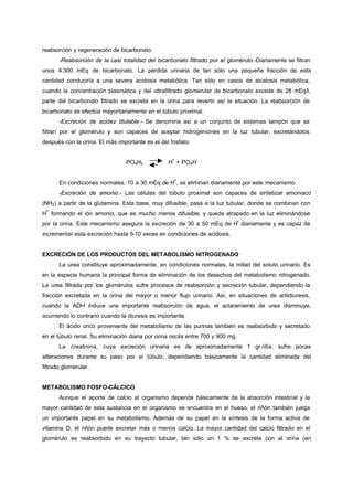 reabsorción y regeneración de bicarbonato:
       -Reabsorción de la casi totalidad del bicarbonato filtrado por el glomérulo.-Diariamente se filtran
unos 4.300 mEq de bicarbonato. La pérdida urinaria de tan sólo una pequeña fracción de esta
cantidad conduciría a una severa acidosis metabólica. Tan sólo en casos de alcalosis metabólica,
cuando la concentración plasmática y del ultrafiltrado glomerular de bicarbonato excede de 28 mEq/l,
parte del bicarbonato filtrado se excreta en la orina para revertir así la situación. La reabsorción de
bicarbonato se efectúa mayoritariamente en el túbulo proximal.
       -Excreción de acidez titulable.- Se denomina así a un conjunto de sistemas tampón que se
filtran por el glomérulo y son capaces de aceptar hidrogeniones en la luz tubular, excretándolos
después con la orina. El más importante es el del fosfato:


                                                    +        -
                                 PO4H2            H + PO4H


                                                    +
       En condiciones normales, 10 a 30 mEq de H , se eliminan diariamente por este mecanismo.
       -Excreción de amonio.- Las células del túbulo proximal son capaces de sintetizar amoniaco
(NH3) a partir de la glutamina. Esta base, muy difusible, pasa a la luz tubular, donde se combinan con
 +
H formando el ión amonio, que es mucho menos difusible, y queda atrapado en la luz eliminándose
                                                                             +
por la orina. Este mecanismo asegura la excreción de 30 a 50 mEq de H diariamente y es capaz de
incrementar esta excreción hasta 5-10 veces en condiciones de acidosis.


EXCRECIÓN DE LOS PRODUCTOS DEL METABOLISMO NITROGENADO
       La urea constituye aproximadamente, en condiciones normales, la mitad del soluto urinario. Es
en la especie humana la principal forma de eliminación de los desechos del metabolismo nitrogenado.
La urea filtrada por los glomérulos sufre procesos de reabsorción y secreción tubular, dependiendo la
fracción excretada en la orina del mayor o menor flujo urinario. Así, en situaciones de antidiuresis,
cuando la ADH induce una importante reabsorción de agua, el aclaramiento de urea disminuye,
ocurriendo lo contrario cuando la diuresis es importante.
       El ácido úrico proveniente del metabolismo de las purinas también es reabsorbido y secretado
en el túbulo renal. Su eliminación diaria por orina oscila entre 700 y 900 mg.
       La creatinina, cuya excreción urinaria es de aproximadamente 1 gr./día, sufre pocas
aIteraciones durante su paso por el túbulo, dependiendo básicamente la cantidad eliminada del
filtrado glomerular.


METABOLISMO FOSFO-CÁLCICO
       Aunque el aporte de calcio al organismo depende básicamente de la absorción intestinal y la
mayor cantidad de esta sustancia en el organismo se encuentra en el hueso, el riñón también juega
un importante papel en su metabolismo. Además de su papel en la síntesis de la forma activa de
vitamina D, el riñón puede excretar más o menos calcio. La mayor cantidad del calcio filtrado en el
glomérulo es reabsorbido en su trayecto tubular, tan sólo un 1 % se excreta con al orina (en
 