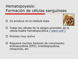 Hematopoyesis:
Formación de células sanguíneas
 