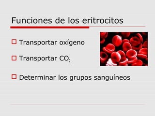 Funciones de los eritrocitos
 Transportar oxígeno
 Transportar CO2
 Determinar los grupos sanguíneos
 
