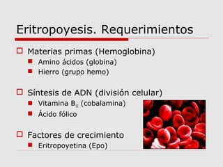 Eritropoyesis. Requerimientos
 Materias primas (Hemoglobina)
 Amino ácidos (globina)
 Hierro (grupo hemo)
 Síntesis de ADN (división celular)
 Vitamina B12 (cobalamina)
 Ácido fólico
 Factores de crecimiento
 Eritropoyetina (Epo)
 