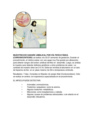 MUESTREO DE SANGRE UMBILICAL POR VÍA PERCUTÁNEA
(CORDONCENTESIS): se realiza a la 20-21 semanas de gestación, Durante el
procedimiento, el médico extrae con una aguja muy fina guiada por ultrasonido,
para obtener sangre del cordon umblical del feto en desarrollo. Luego, se analiza
la muestra para detectar defectos genéticos u otros problemas de salud.. La
cantidad de muestra debe ser 2-5 ml. Debe ser remitida al laboratorio en un tubo
de heparina de litio en un plazo máximo de 24h a temperatura ambiente.
Resultados: 7 días. Consistes en Muestra de sangre fetal (Cordoncentesis): Solo
se realiza en centros con experiencia especializada en el procedimiento.
EL MPSCU PUEDE DETECTAR:
• Anomalías cromosómicas.
• Trastornos sanguíneos como la anemia.
• Algunos trastornos metabólicos.
• Infecciones como toxoplasmosis y rubéola.
• Algunas causas de problemas estructurales o de retardo en el
desarrollo intrauterino.
 