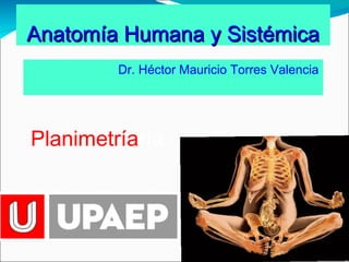Dr. Héctor Mauricio Torres Valencia
Anatomía Humana y SistémicaAnatomía Humana y Sistémica
Planimetríaría
 