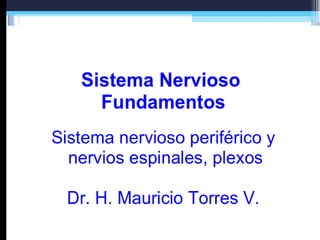 Sistema Nervioso 
Fundamentos 
Sistema nervioso periférico y 
nervios espinales, plexos 
Dr. H. Mauricio Torres V. 
 