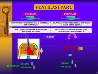 6
VENTILASI PARU
INSPIRASI
KONTRAKSI OTOT INTERKOSTALIS EKSTERNA 
IGA TERANGKAT
KONTRAKSI DIAFRAGMA DIAFRAGMA
BERGERAK INFERIOR
EKSPIRASI
RELAKSASI OTOT INTERKOSTALIS EKSTERNA
 IGA KE POSISI SEMULA
RELAKSASI DIAFRAGMA  DIAFRAGMA
BERGERAK KE POSISI SEMULA
INTRATORAK
VOLUME
PRESSURE
VOLUME
PRESSURE
INSERT
 